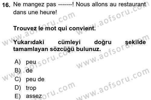 Fransızca 1 Dersi 2018 - 2019 Yılı (Final) Dönem Sonu Sınavı 16. Soru