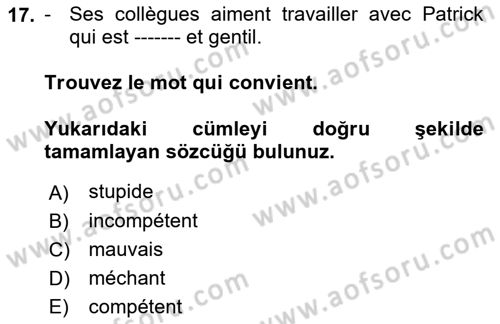 Fransızca 1 Dersi 2018 - 2019 Yılı (Final) Dönem Sonu Sınavı 17. Soru