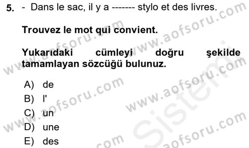 Fransızca 1 Dersi 2018 - 2019 Yılı (Final) Dönem Sonu Sınavı 5. Soru