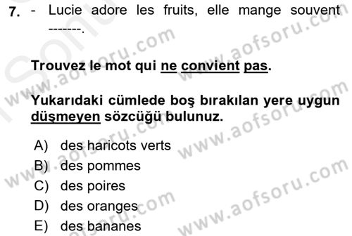 Fransızca 1 Dersi 2018 - 2019 Yılı (Final) Dönem Sonu Sınavı 7. Soru