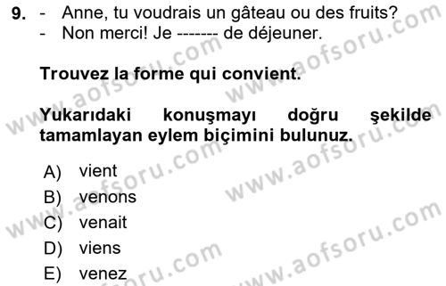 Fransızca 1 Dersi 2018 - 2019 Yılı (Final) Dönem Sonu Sınavı 9. Soru