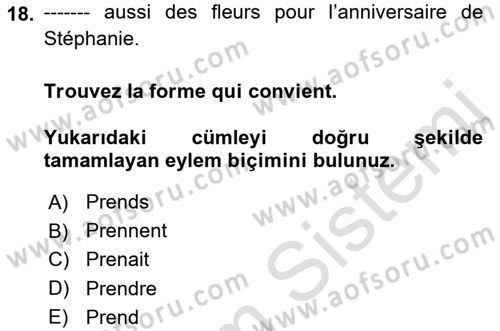 Fransızca 1 Dersi Ara Sınavı Deneme Sınav Soruları 18. Soru