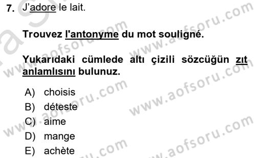 Fransızca 1 Dersi Ara Sınavı Deneme Sınav Soruları 7. Soru