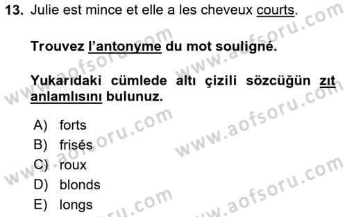 Fransızca 1 Dersi 2019 - 2020 Yılı (Final) Dönem Sonu Sınavı 13. Soru