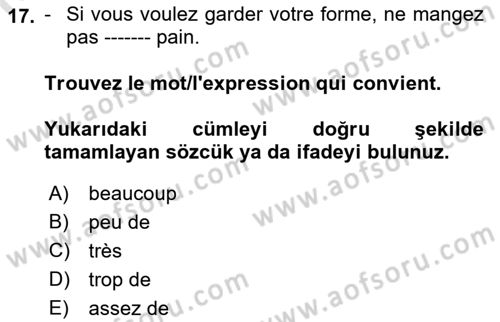Fransızca 1 Dersi 2019 - 2020 Yılı (Final) Dönem Sonu Sınavı 17. Soru