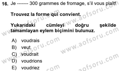 Fransızca 1 Dersi 2023 - 2024 Yılı (Vize) Ara Sınav Soruları 16. Soru