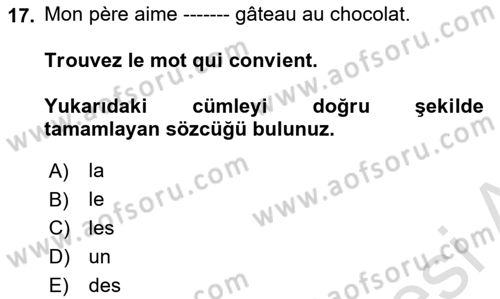 Fransızca 1 Dersi 2023 - 2024 Yılı (Final) Dönem Sonu Sınav Soruları 17. Soru