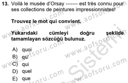 Fransızca 1 Dersi 2023 - 2024 Yılı Yaz Okulu Sınav Soruları 13. Soru