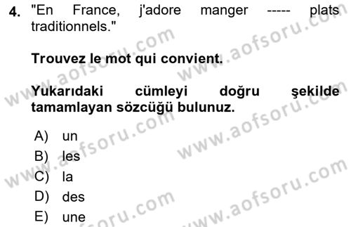 Fransızca 1 Dersi 2023 - 2024 Yılı Yaz Okulu Sınav Soruları 4. Soru