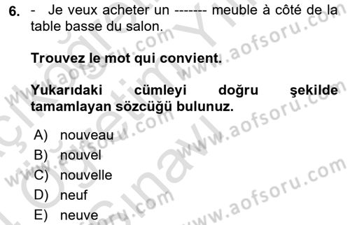 Fransızca 1 Dersi 2023 - 2024 Yılı Yaz Okulu Sınav Soruları 6. Soru