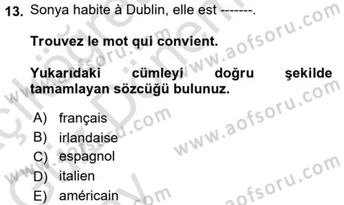 Fransızca 1 Dersi 2024 - 2025 Yılı (Vize) Ara Sınav Soruları 13. Soru