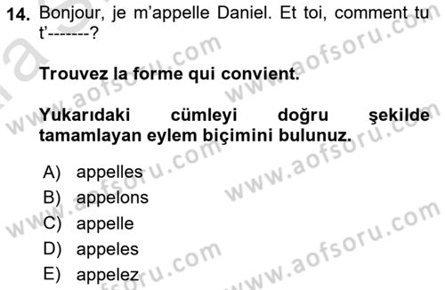 Fransızca 1 Dersi 2024 - 2025 Yılı (Vize) Ara Sınav Soruları 14. Soru