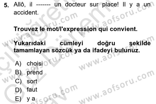 Fransızca 1 Dersi 2024 - 2025 Yılı (Vize) Ara Sınav Soruları 5. Soru