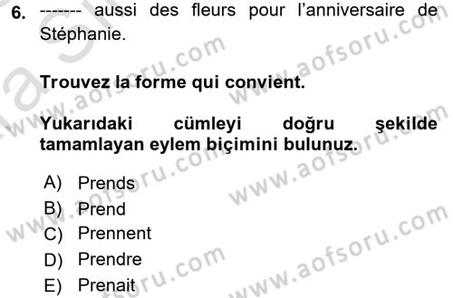 Fransızca 1 Dersi 2024 - 2025 Yılı (Vize) Ara Sınav Soruları 6. Soru