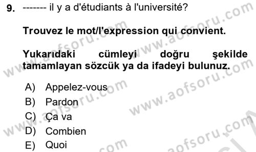 Fransızca 1 Dersi 2024 - 2025 Yılı (Vize) Ara Sınav Soruları 9. Soru