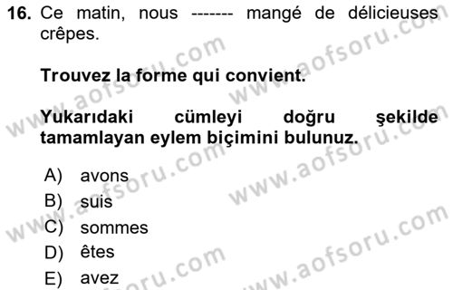 Fransızca 1 Dersi 2024 - 2025 Yılı (Final) Dönem Sonu Sınav Soruları 16. Soru