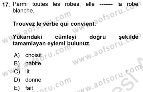 Fransızca 1 Dersi 2024 - 2025 Yılı (Final) Dönem Sonu Sınav Soruları 17. Soru