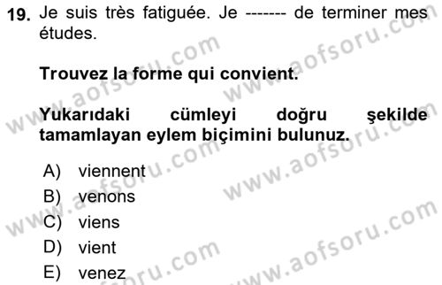 Fransızca 1 Dersi 2024 - 2025 Yılı (Final) Dönem Sonu Sınav Soruları 19. Soru