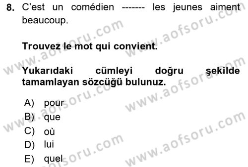 Fransızca 1 Dersi 2024 - 2025 Yılı (Final) Dönem Sonu Sınav Soruları 8. Soru