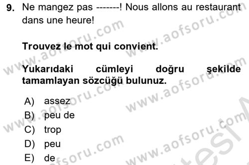 Fransızca 1 Dersi 2024 - 2025 Yılı (Final) Dönem Sonu Sınav Soruları 9. Soru
