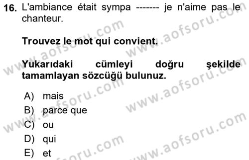 Fransızca 1 Dersi 2024 - 2025 Yılı Yaz Okulu Sınav Soruları 16. Soru