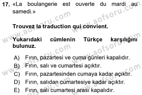 Fransızca 1 Dersi 2024 - 2025 Yılı Yaz Okulu Sınav Soruları 17. Soru