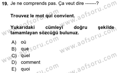 Fransızca 1 Dersi 2024 - 2025 Yılı Yaz Okulu Sınav Soruları 19. Soru