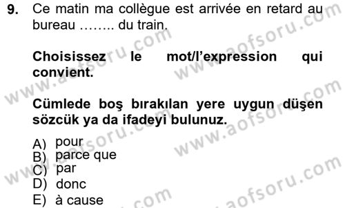 Fransızca 2 Dersi 2012 - 2013 Yılı (Vize) Ara Sınavı 9. Soru