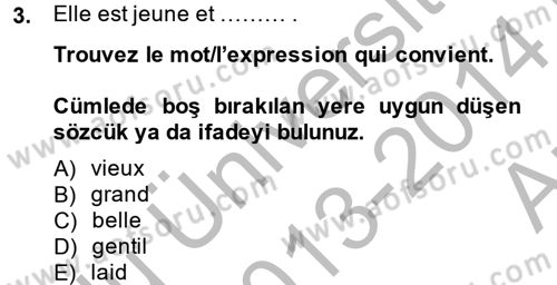 Fransızca 2 Dersi 2013 - 2014 Yılı (Vize) Ara Sınavı 3. Soru