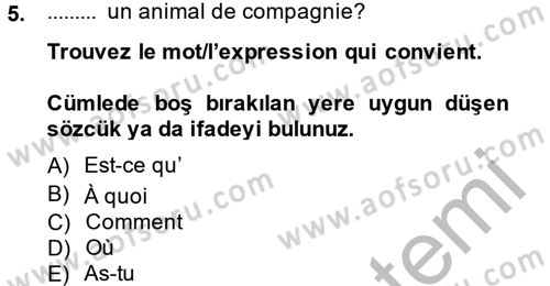 Fransızca 2 Dersi 2013 - 2014 Yılı (Vize) Ara Sınavı 5. Soru