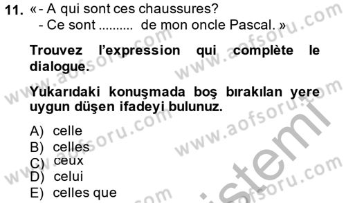 Fransızca 2 Dersi 2013 - 2014 Yılı (Final) Dönem Sonu Sınavı 11. Soru