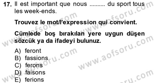Fransızca 2 Dersi 2013 - 2014 Yılı (Final) Dönem Sonu Sınavı 17. Soru