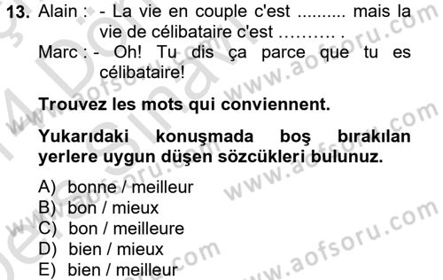 Fransızca 2 Dersi 2013 - 2014 Yılı Tek Ders Sınav Soruları 13. Soru