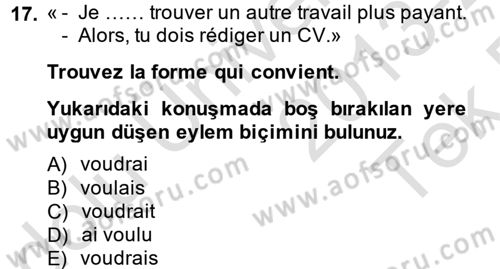 Fransızca 2 Dersi 2013 - 2014 Yılı Tek Ders Sınav Soruları 17. Soru
