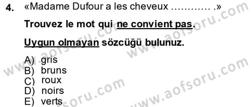 Fransızca 2 Dersi 2014 - 2015 Yılı (Vize) Ara Sınav Soruları 4. Soru