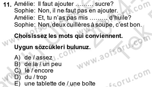 Fransızca 2 Dersi 2014 - 2015 Yılı Tek Ders Sınav Soruları 11. Soru