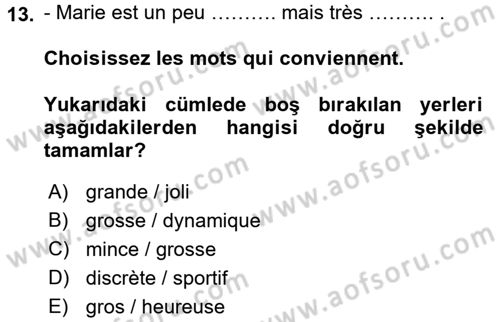 Fransızca 2 Dersi 2015 - 2016 Yılı (Vize) Ara Sınav Soruları 13. Soru