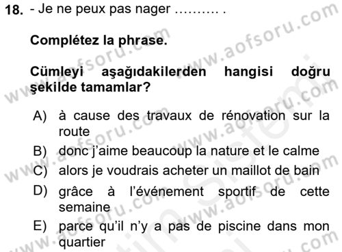 Fransızca 2 Dersi 2015 - 2016 Yılı (Vize) Ara Sınav Soruları 18. Soru