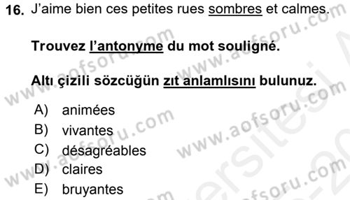 Fransızca 2 Dersi 2015 - 2016 Yılı Tek Ders Sınav Soruları 16. Soru