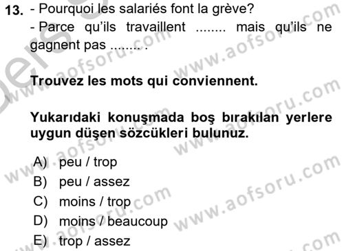 Fransızca 2 Dersi 2016 - 2017 Yılı 3 Ders Sınav Soruları 13. Soru
