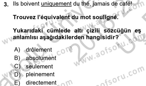 Fransızca 2 Dersi 2016 - 2017 Yılı 3 Ders Sınav Soruları 3. Soru