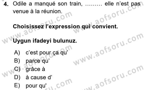 Fransızca 2 Dersi 2016 - 2017 Yılı 3 Ders Sınav Soruları 4. Soru