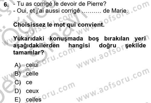 Fransızca 2 Dersi 2016 - 2017 Yılı 3 Ders Sınav Soruları 6. Soru