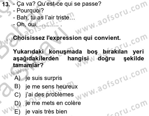 Fransızca 2 Dersi 2016 - 2017 Yılı (Vize) Ara Sınav Soruları 13. Soru