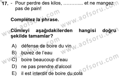 Fransızca 2 Dersi 2016 - 2017 Yılı (Vize) Ara Sınav Soruları 17. Soru