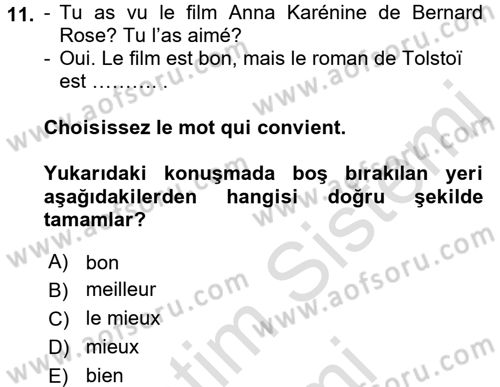 Fransızca 2 Dersi 2016 - 2017 Yılı (Final) Dönem Sonu Sınav Soruları 11. Soru
