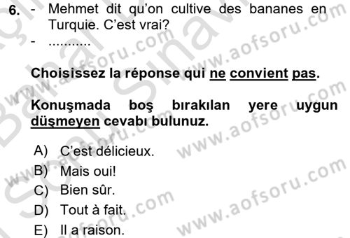 Fransızca 2 Dersi 2016 - 2017 Yılı (Final) Dönem Sonu Sınav Soruları 6. Soru