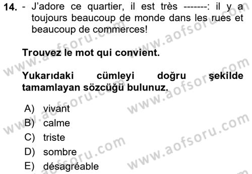 Fransızca 2 Dersi 2017 - 2018 Yılı 3 Ders Sınavı 14. Soru