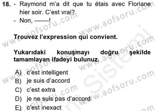 Fransızca 2 Dersi 2017 - 2018 Yılı (Vize) Ara Sınavı 18. Soru