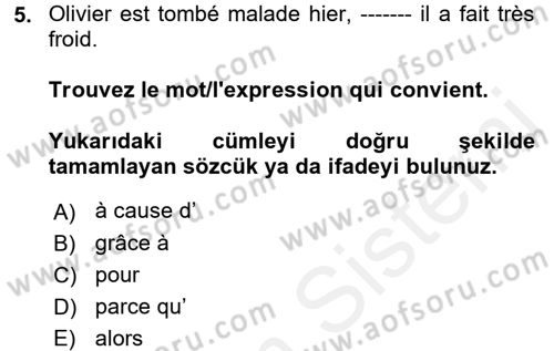 Fransızca 2 Dersi 2017 - 2018 Yılı (Final) Dönem Sonu Sınavı 5. Soru